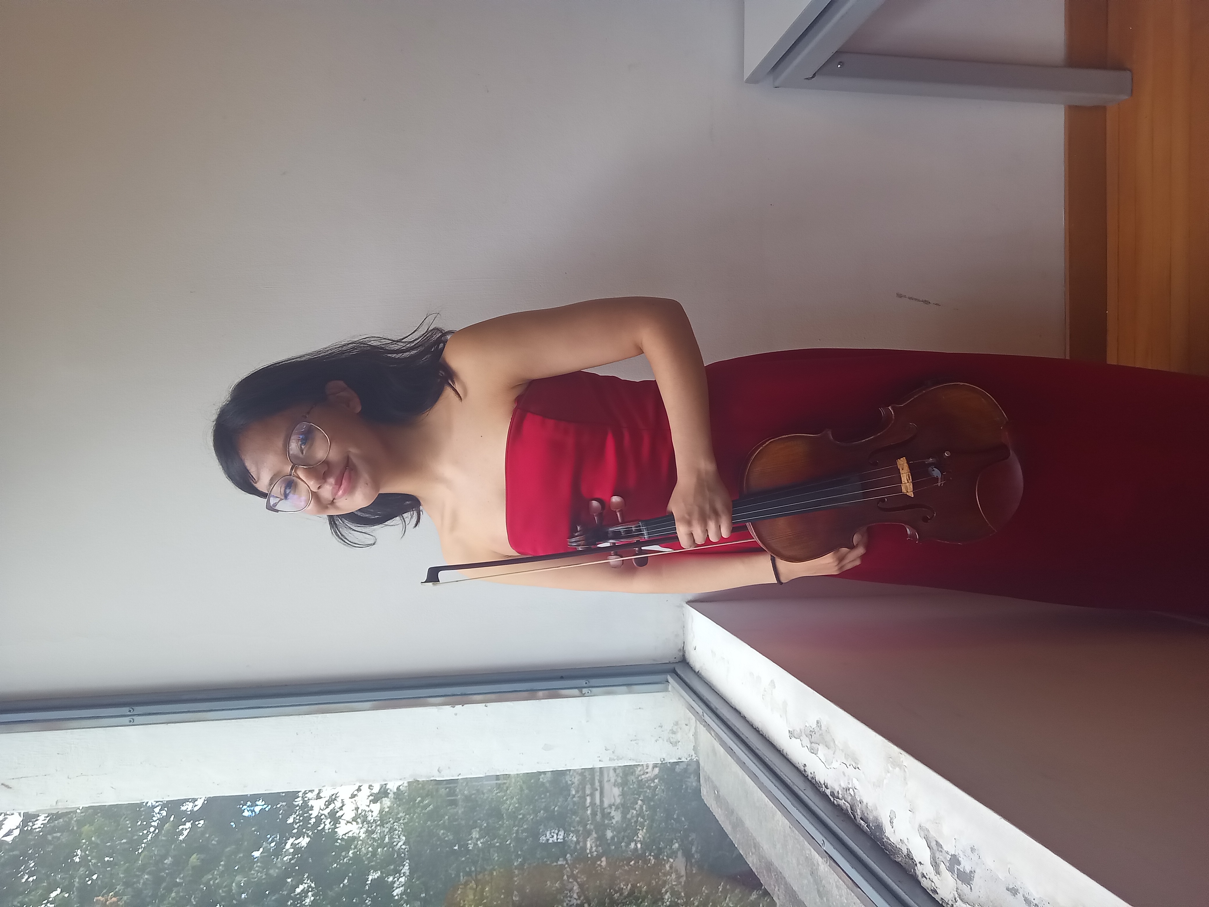 Violin Lessons